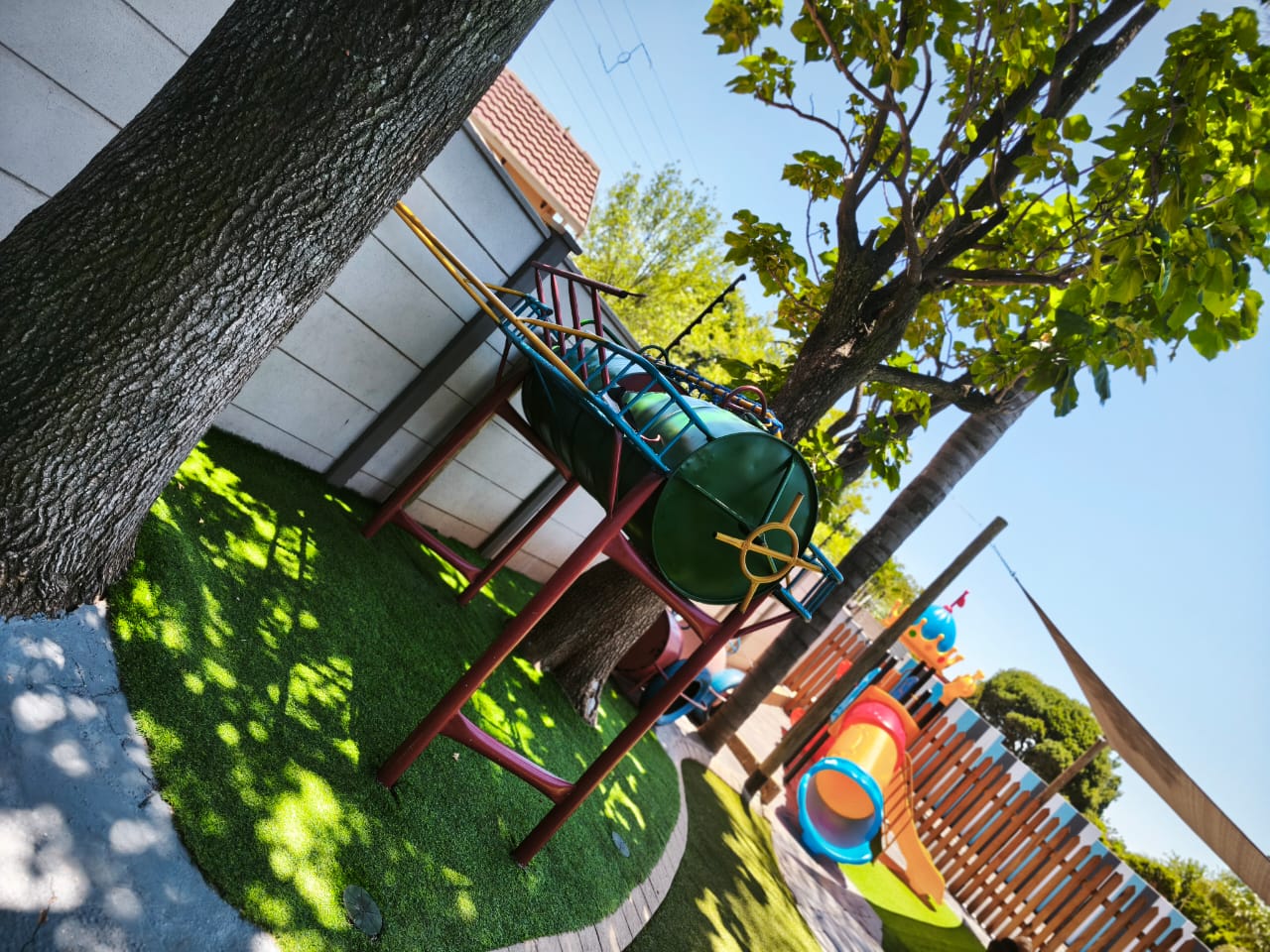 Jungle gym